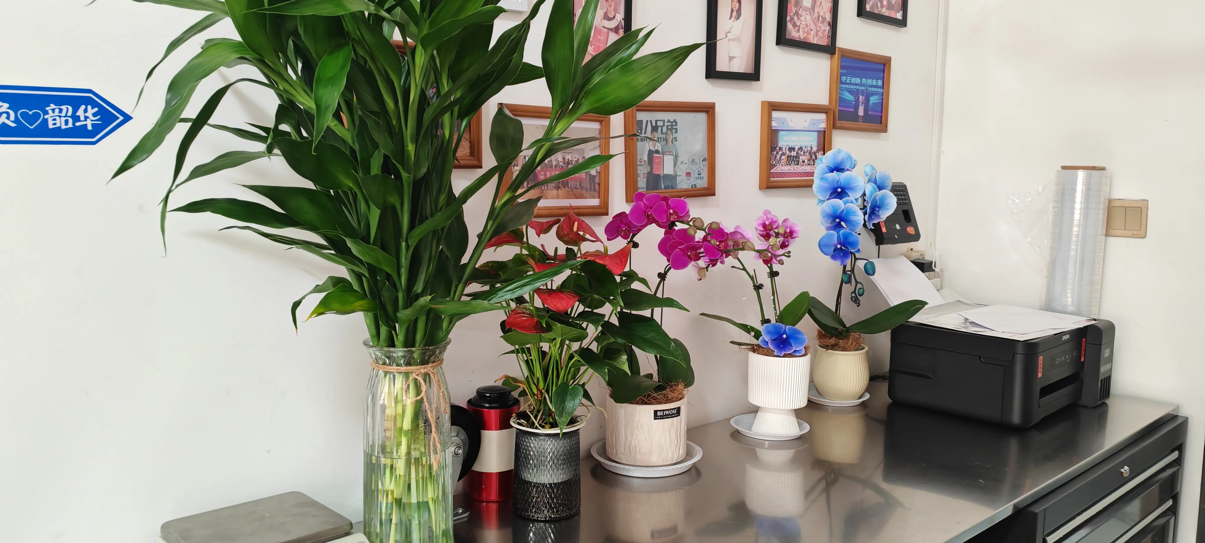 Dobrodošli novi prijatelji JOJO Packa!